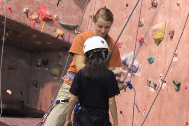  Placing the harness 